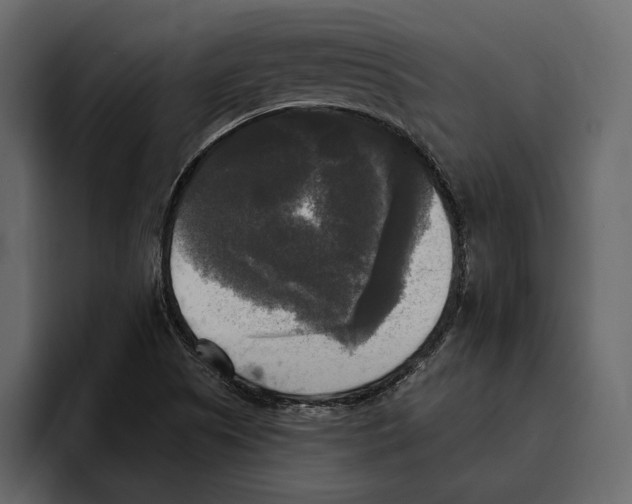 X0000094791505200712141627