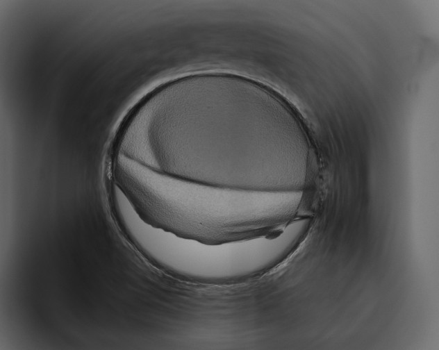 X0000094791510200712141627