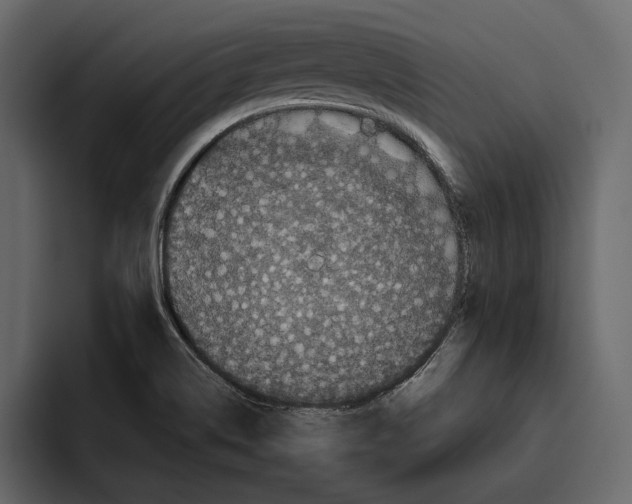 X0000094791514200712141627