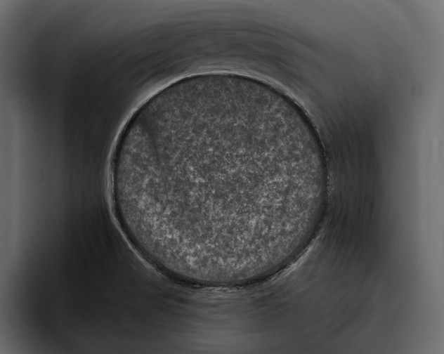 X0000094791517200712141627