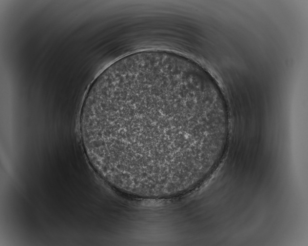 X0000094791521200712141627