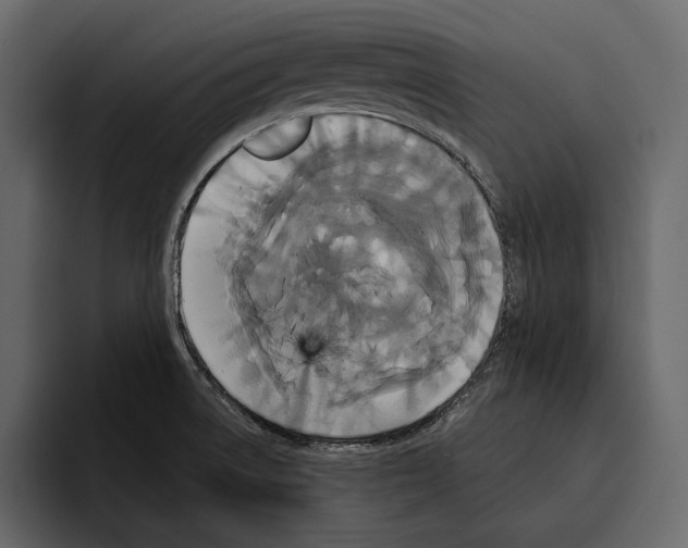 X0000094791522200712141627