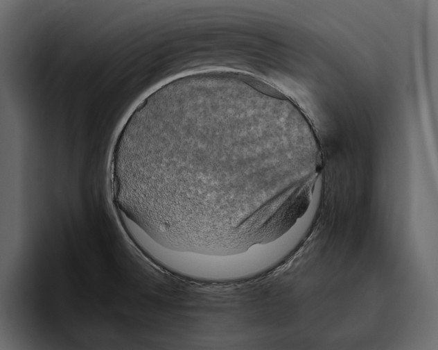 X0000094791524200712141627