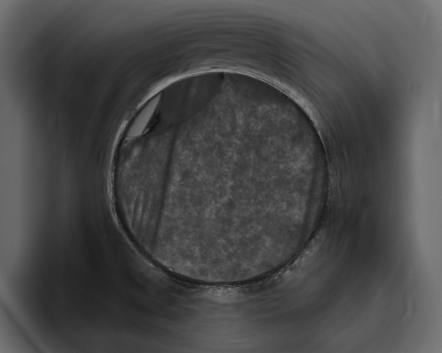 X0000094791525200712141627