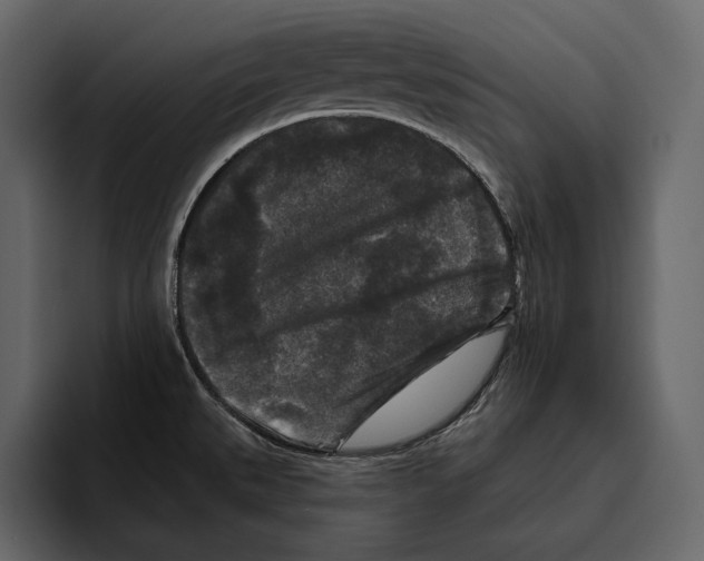 X0000094791527200712141627