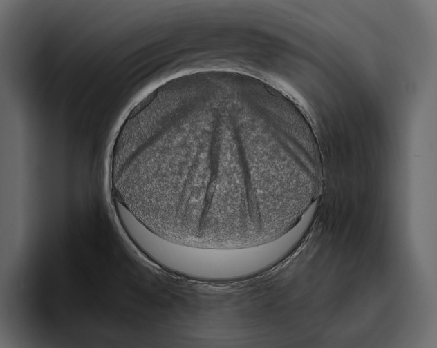 X0000094791528200712141627