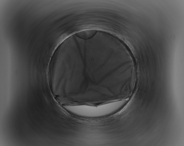 X0000094791529200712141627