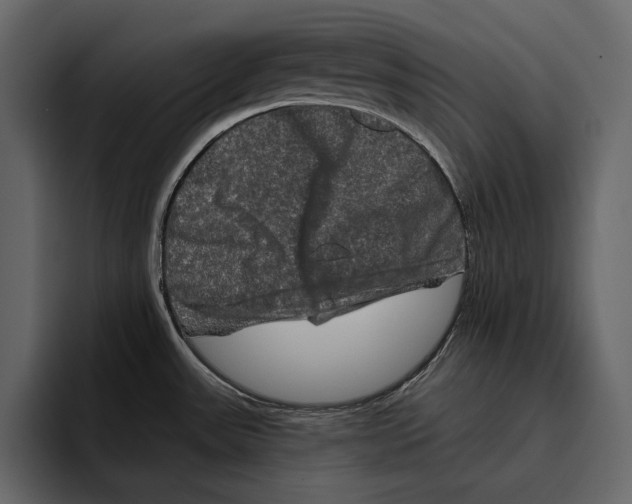 X0000094791531200712141627