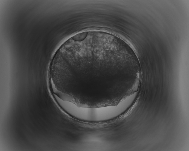 X0000094791533200712141627