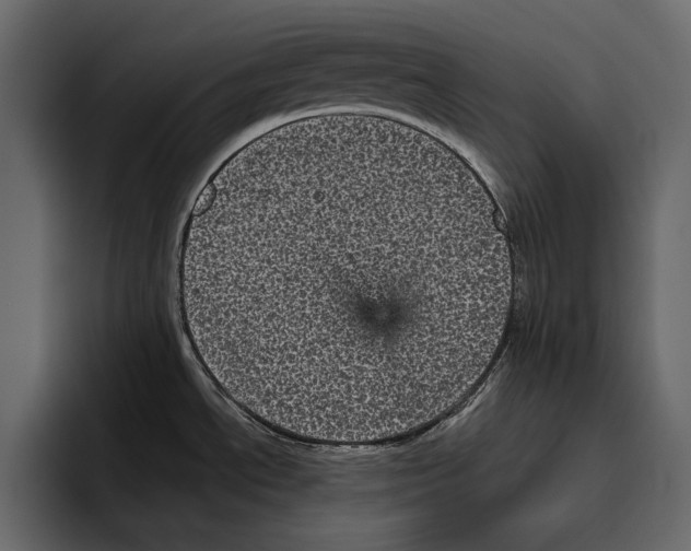 X0000094791534200712141628