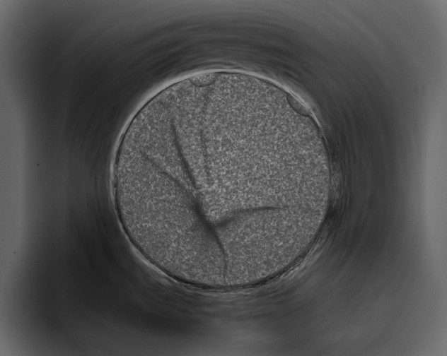 X0000094791535200712141628