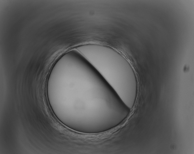 X0000094800001200711160951