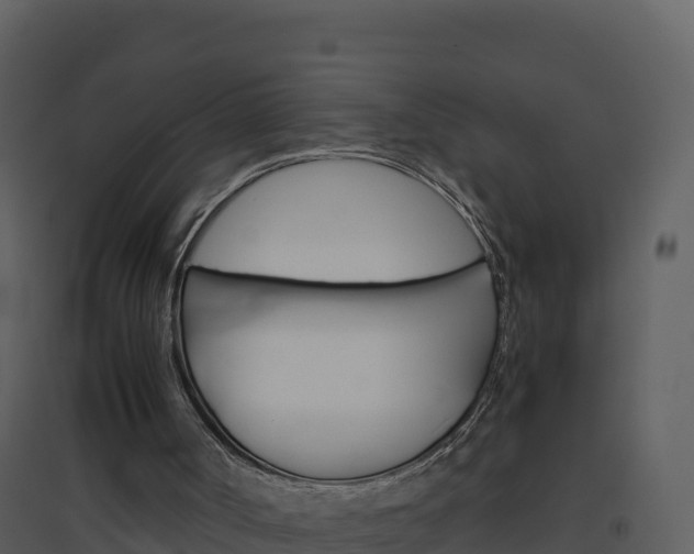 X0000094800002200711160951