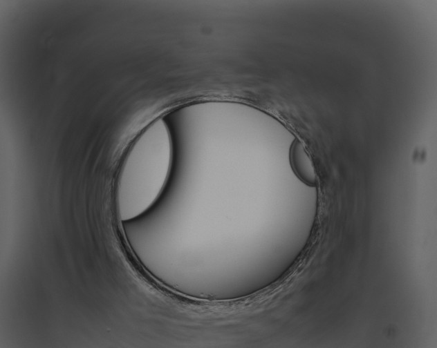 X0000094800005200711160951