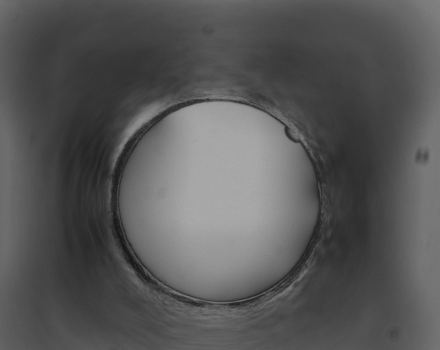 X0000094800008200711160951