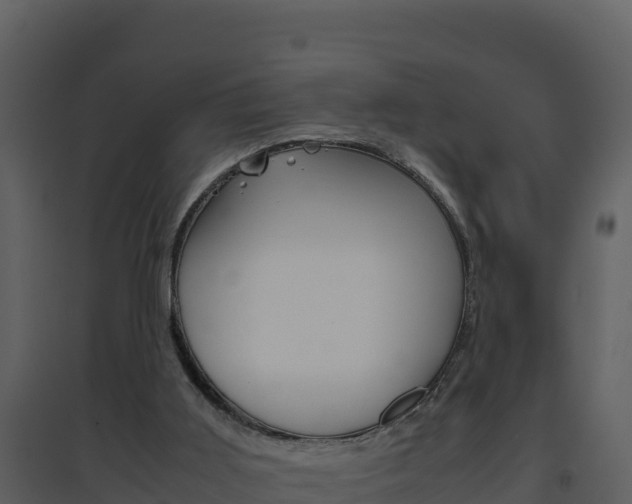 X0000094800011200711160951