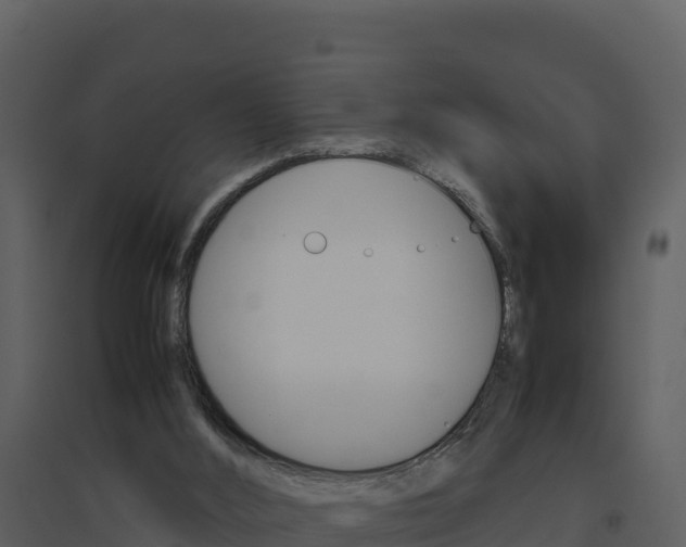X0000094800012200711160951