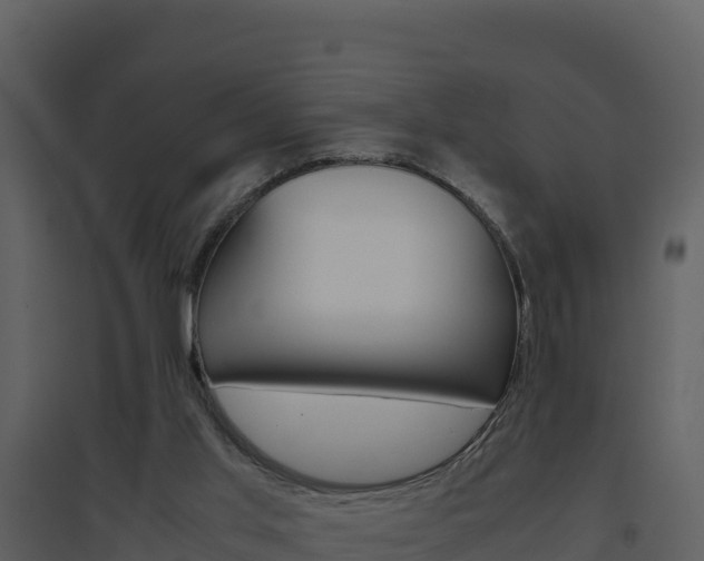 X0000094800013200711160951