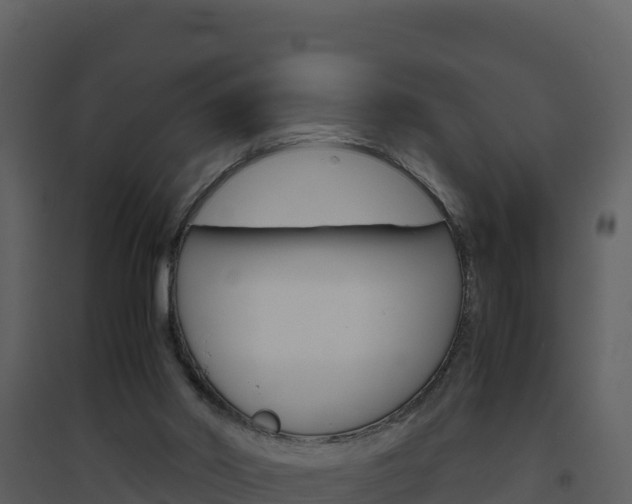 X0000094800014200711160951