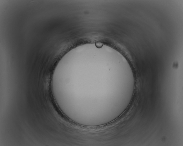 X0000094800018200711160951
