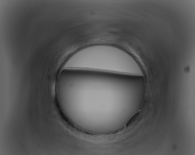 X0000094800019200711160951