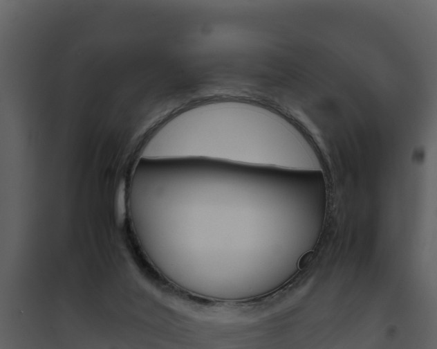 X0000094800020200711160951