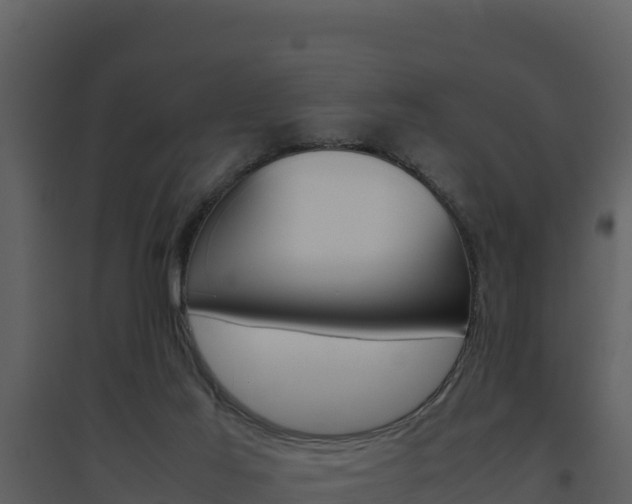 X0000094800021200711160951