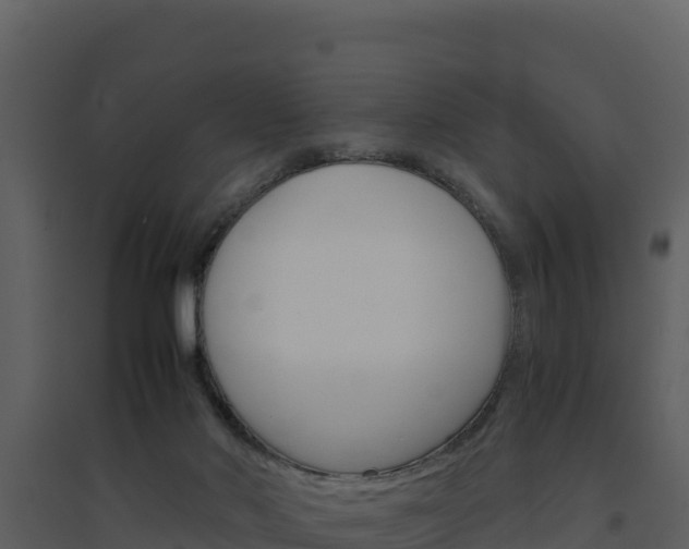 X0000094800022200711160951