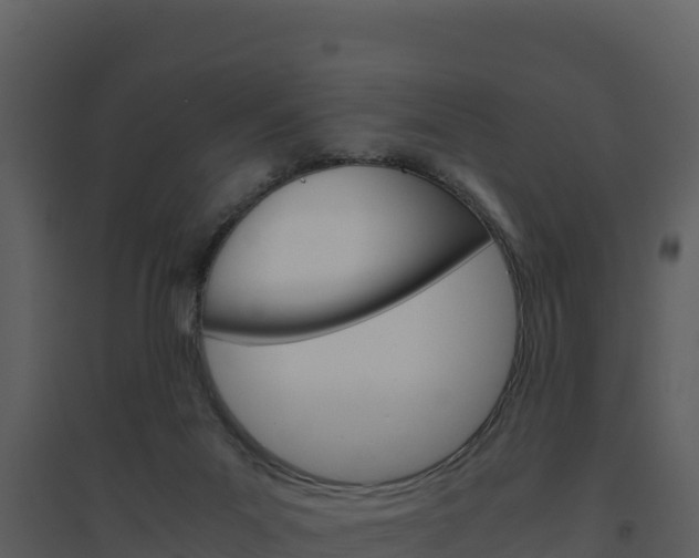 X0000094800023200711160951