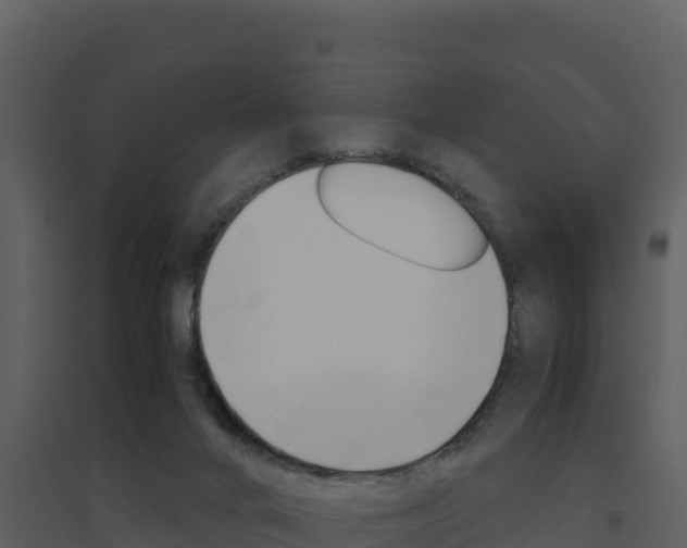 X0000094800024200711160951