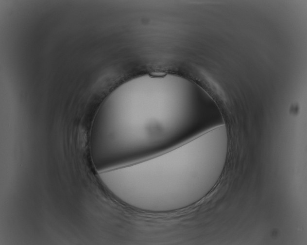 X0000094800025200711160951
