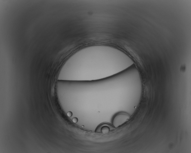 X0000094800026200711160951
