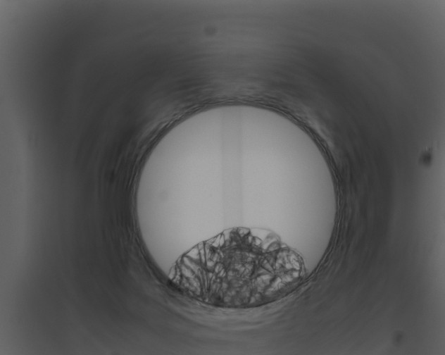 X0000094800027200711160951