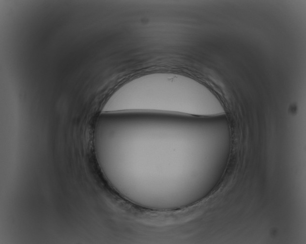 X0000094800029200711160951