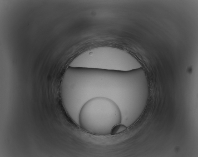 X0000094800030200711160951