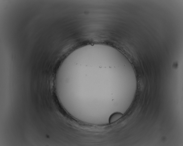 X0000094800032200711160951