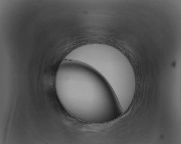 X0000094800033200711160951