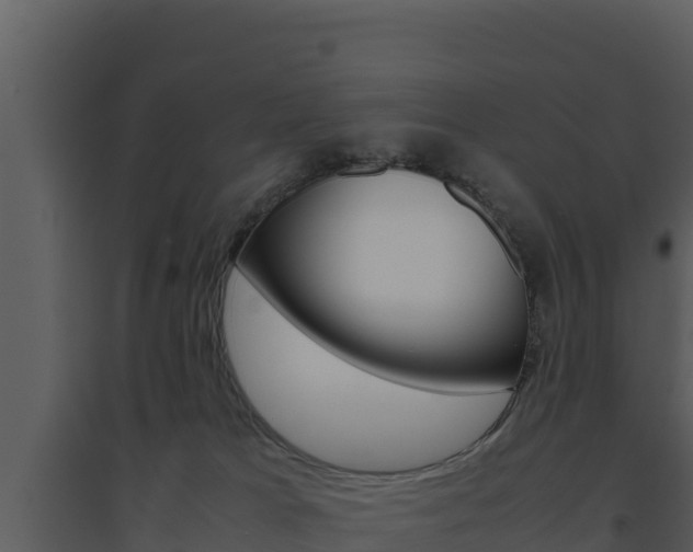 X0000094800037200711160951