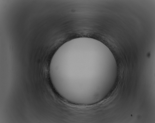 X0000094800040200711160951