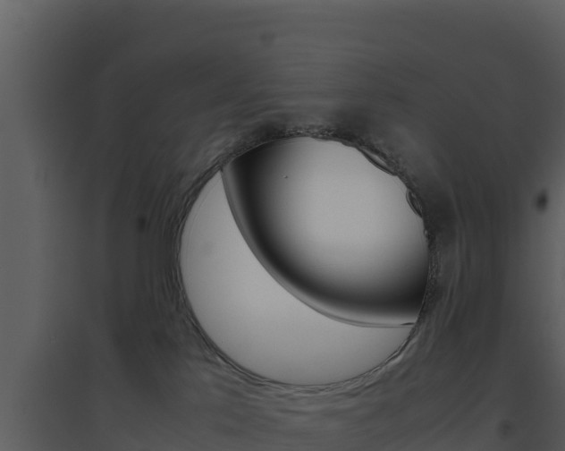 X0000094800041200711160951