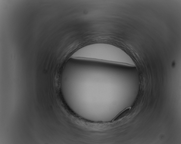 X0000094800044200711160950