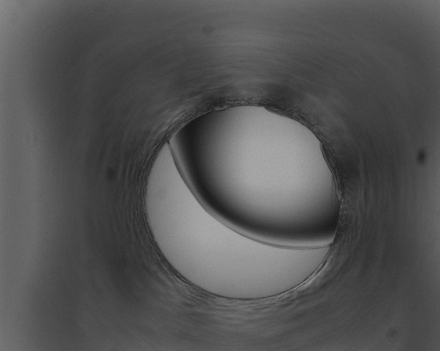 X0000094800045200711160950