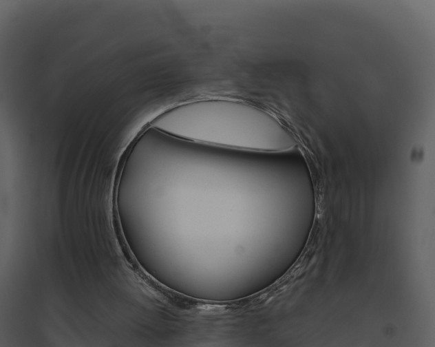 X0000094800052200711160950