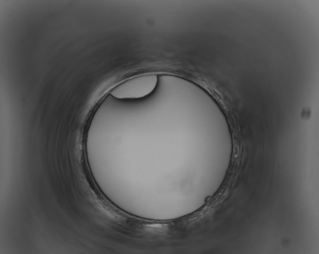 X0000094800053200711160950