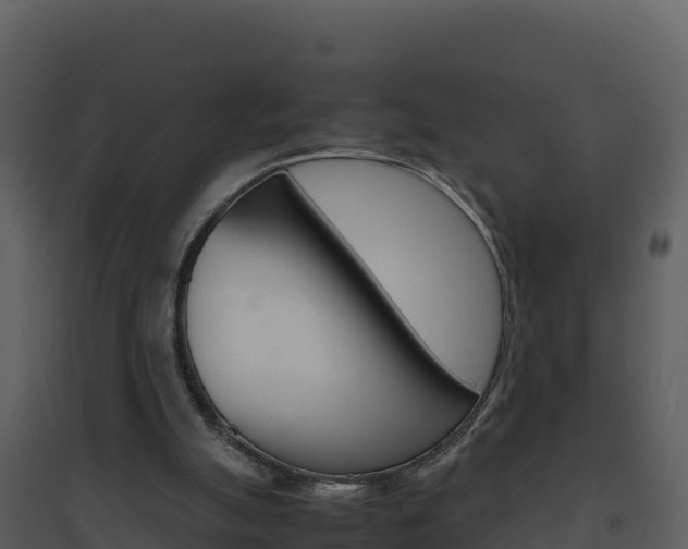 X0000094800055200711160950