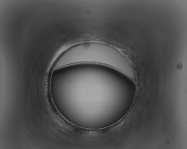 X0000094800056200711160950