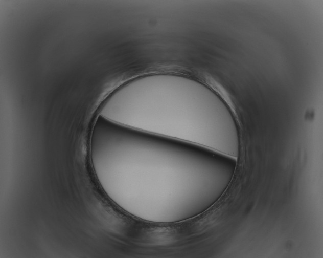 X0000094800059200711160950