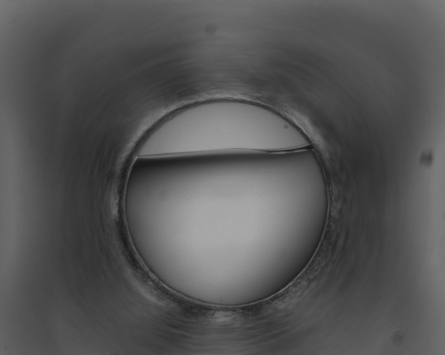 X0000094800060200711160950
