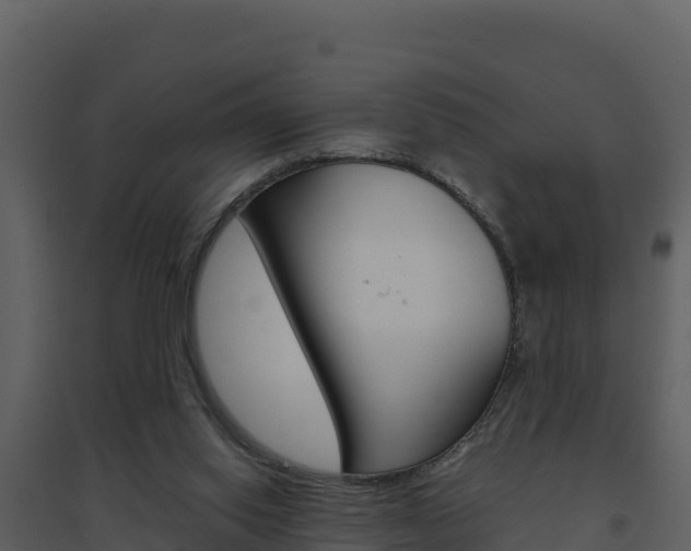 X0000094800062200711160950