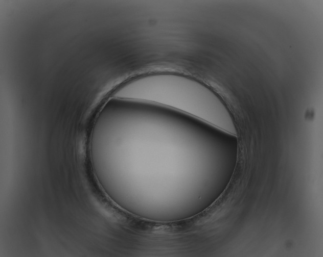 X0000094800064200711160950